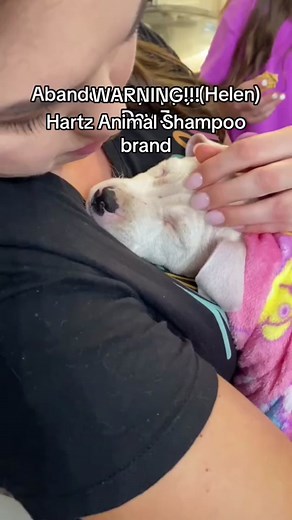 Warning about Hartz Animal Shampoo | Emergency Vet's Advice