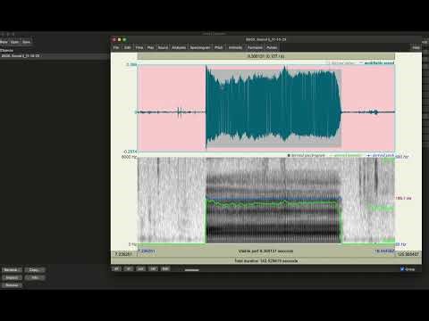 Praat_Acoustic Voice Ax_02_Renaming sv and cs files