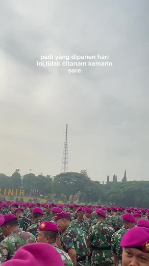 HKR (@hkusumar)’s videos with Unity Acoustic Alan x Walkers Sapphire - Haya