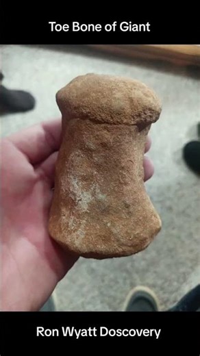 Ron Wyatt didn't have any evidence? But ..