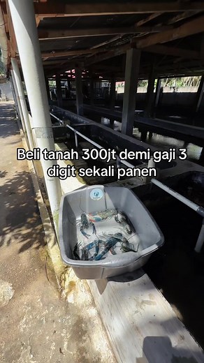 Demi gaji