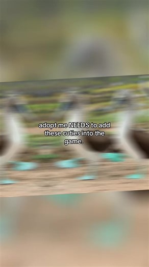 Exciting New Additions to Adopt Me!