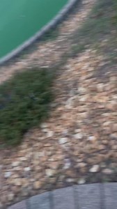 Stacy Bizzell on Reels