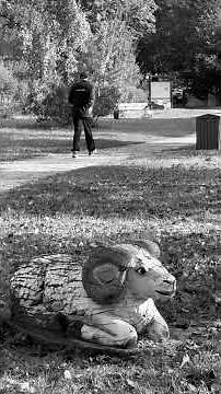 Visite au bord de la Loire : balade nature à Nevers, beauté d’une promenade en noir et blanc