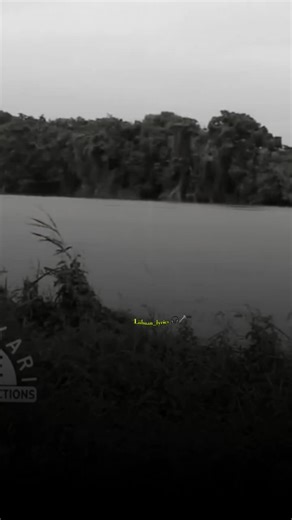 Liibaan Lyrics: Celebrate Somali Music on TikTok