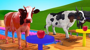 110K views · 1.3K reactions | Horse Cow Donkey Animals at Swimming Pool Videos for Kids | Cow Race Water Slides & eating an apple #yolokidstv #abckids #cowvideos  Watch Full Video Here:https://youtu.be/3bcYnijSVfI | Yolo Kids TV | Facebook