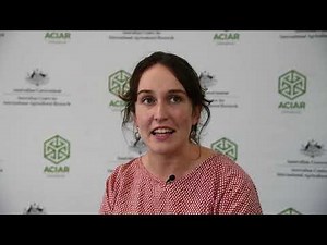 Why is international agricultural research important?