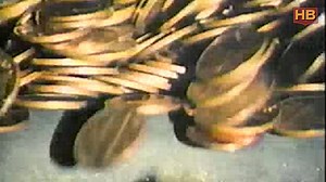 #OnThisDay in 1914, the Federal Reserve Bank of the U.S. officially opens | HistoryBuff.com