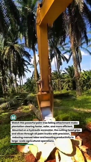 Palm Tree Felling Machine in Action! Fast & Precise Harvesting #Agriculture #HeavyEquipment #PalmOil