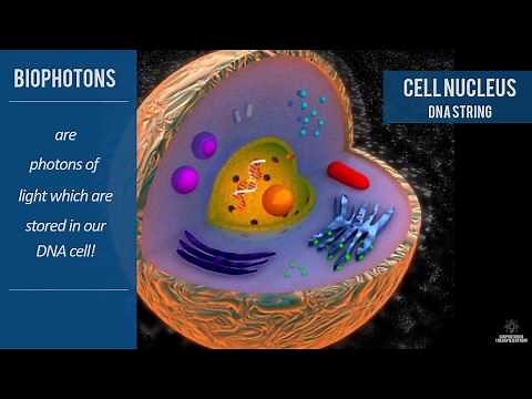 What are biophotons and how do they work?