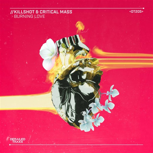 Killshot & Critical Mass - Burning Love
