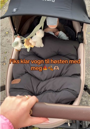 Vognpose For Høsten: Slik Gjør Du Det Koselig