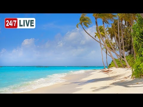 🏝️ The Most Relaxing Ocean 4K (LIVE 24/7). Ocean Sounds, Sunny Beach & Ocean Waves
