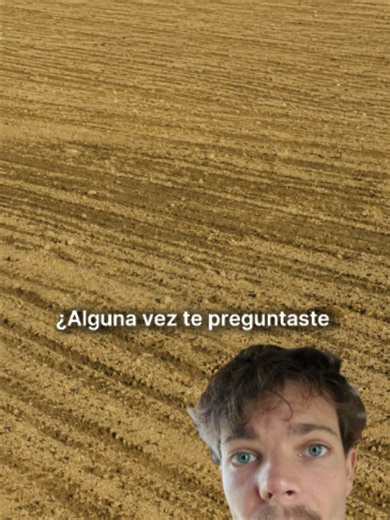 Cómo proteger el suelo: cubrir para conservar humedad y fertilidad