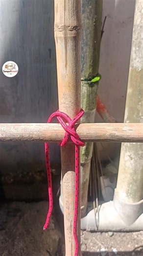 Simpul Tali Kuat untuk Berbagai Kebutuhan