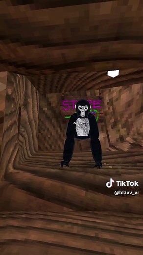 Discovering the Mysterious Warning Bot in Gorilla Tag