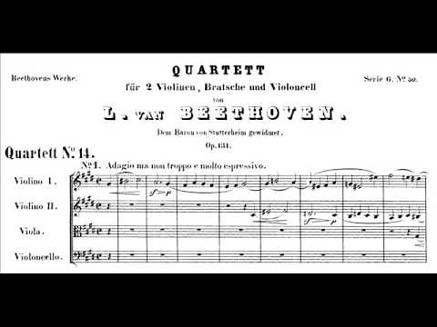 Beethoven - String Quartet op. 131 - Last 2 movements