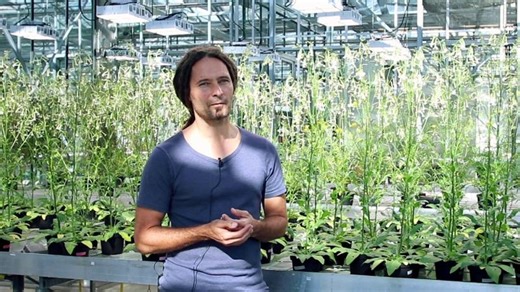 Max Planck Institute Research With Valoya LEDs | Valoya