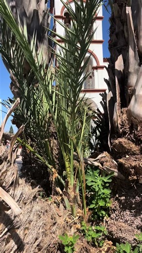 Achieving the Perfect Balance in Crete