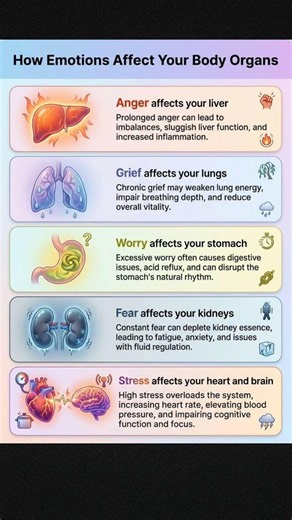 How Emotions Affect Your Organs