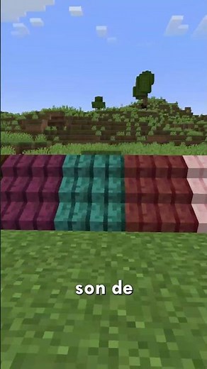 Mini Mod Reviews - Macaw's Roofs #Macaw's Roofs #minecraft #mod #java