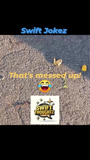 12 reactions · 11 comments | Bird eat bird world out here ! #SwiftJokes #MessedUp | Swift Vasquez | Facebook