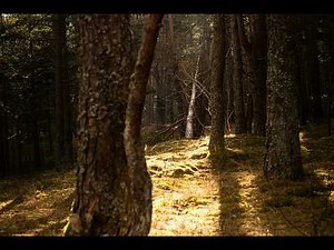 Lesson 92 - A Course in Miracles (ACIM) Workbook