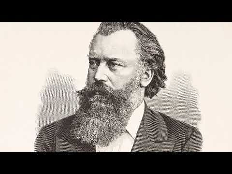 Johannes Brahms - Hungarian Dance No. 5 (1 hour version)