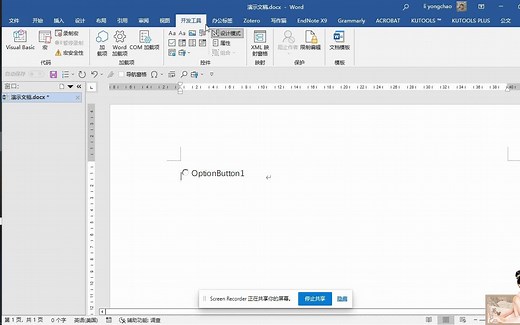 word中选项按钮，复选框设置