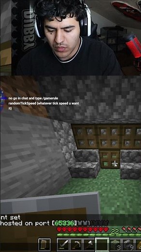 Minecraft Chat: Adjusting Game Rules for Random Tick Speed! #shorts