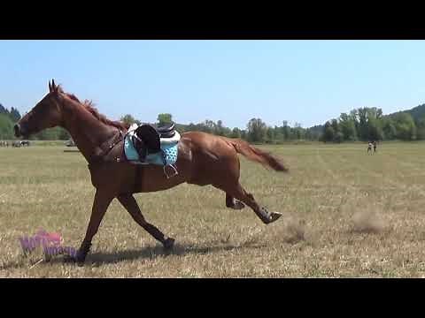 The Comeback - Horse Bloopers 2018