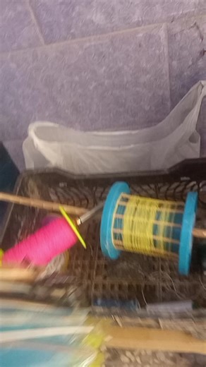 فتى الذهبي (@f_14_13)’s videos with الصوت الأصلي - فتى الذهبي