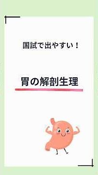 胃の解剖生理ついて解説！ #看護学生 #看護師国家試験 #看護師国家試験対策 #shorts