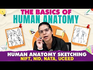 The Basics Of Human Anatomy Sketching | NIFT, NID, NATA, UCEED