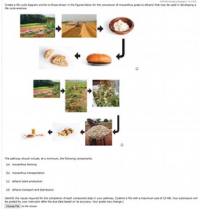 Create a life cycle diagram similar to those shown in the figur... | Filo