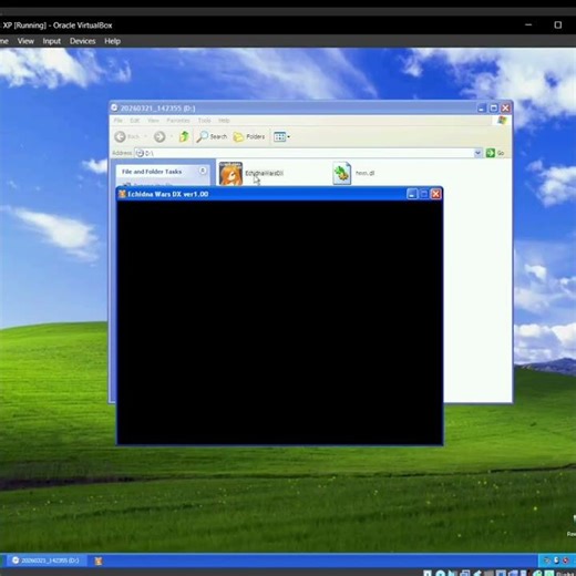 POV: You try to run Echidna Wars DX on Windows XP #meme #echidnawarsdx #vdzgames