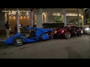 T-rex Invasion of Miami 2019 - Spring Break Part1 (RAW Footage)