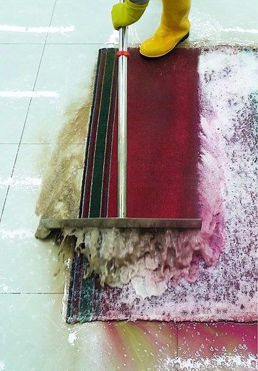 Extreme Carpet Cleaning Transformation Guide