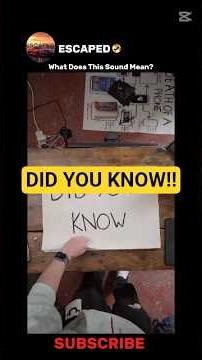 Find My Phone Ringtone Meaning (Most People Don’t Know This)