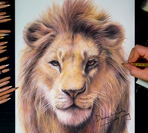 TikTok의 drawinghands