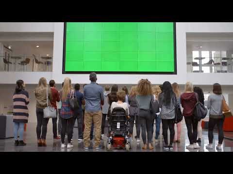 Personas viendo una pantalla verde grande Green screen Efecto de video