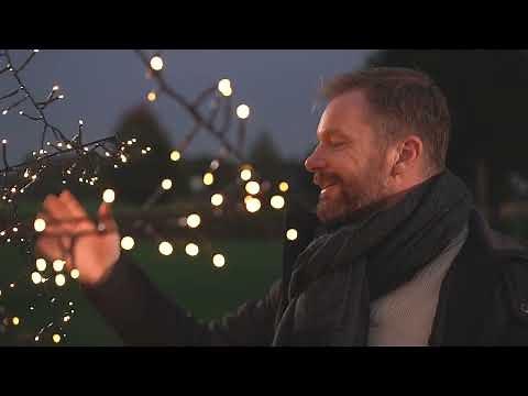 Kaemingk Lumineo LED Light Up Outdoor Tree