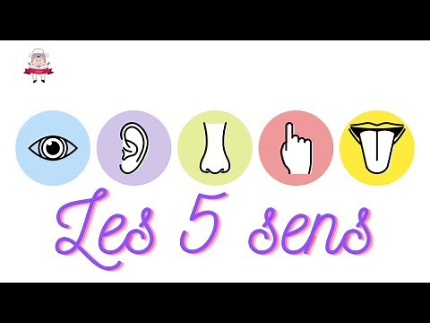 APPREND LE CORPS HUMAIN #5 - [LES 5 SENS]