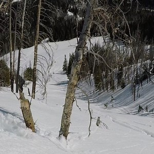 @speedwerxusa Stage 2 kit Pinned ! @arcticcat_snow Alpha 1 154” w/ @tkicnc belt drive. These kits add 13 peak hp and 18 in the mid range on premium pump gas, you also save 18.5 lbs with our L2 muffler, you can drop an additional 20 lbs with our other lightweight part options too 😳🇺🇸 | Speedwerx