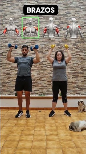 cuatro ejercicios para tener brazos definidos y tonificados 💪 #brazos