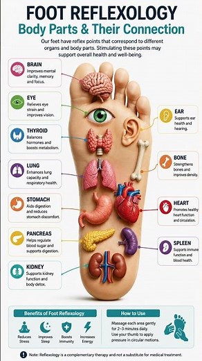 👣 Your Feet May Reveal More Than You Think! Reflexology Explained 😱 #Shorts
