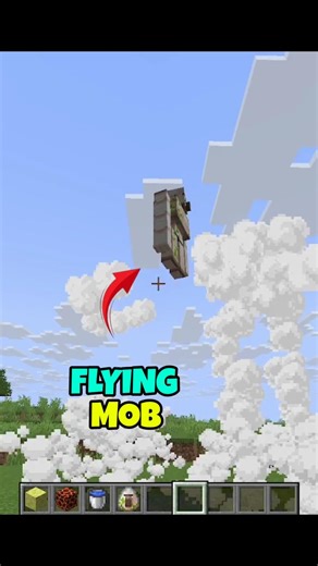 Minecraft But You Can Fly Every Mob