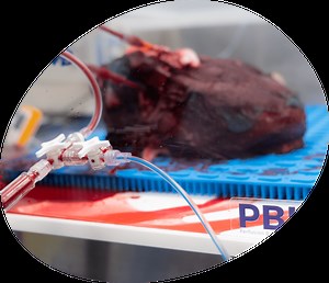 What We Offer - Pebble