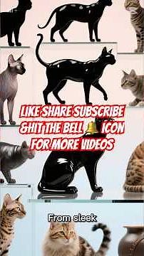 Top 10 Extraordinary Cats Found Around the World!