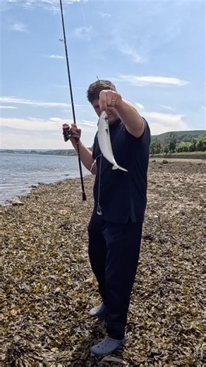 🎣The Mackerel are Here 2026 | Light Tackle = Non-Stop Bites #shorts